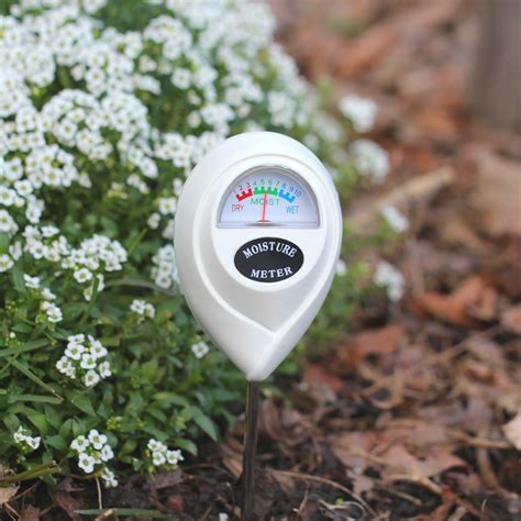 Fennel Powder moisture meter|How to Test Soil Moisture .